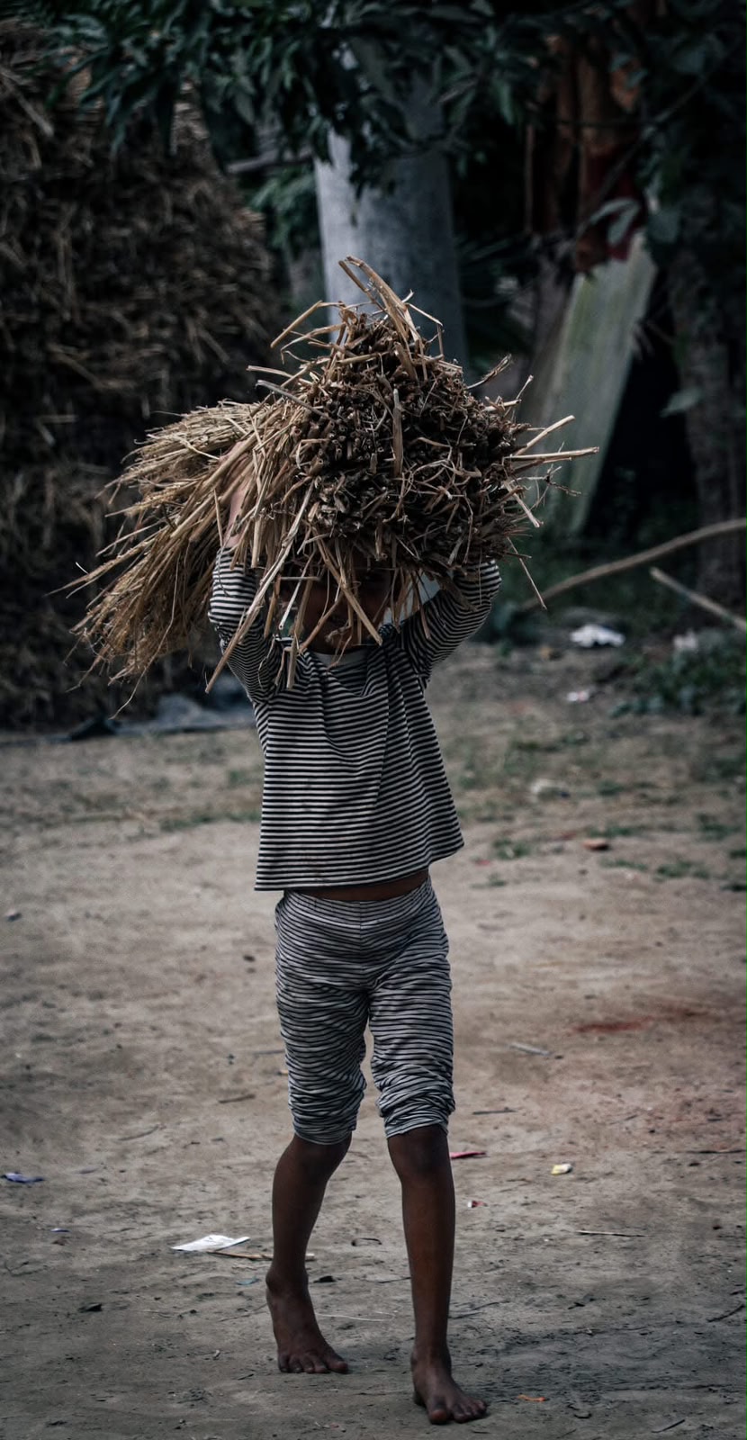 A child carrying a heavy bundle of straw